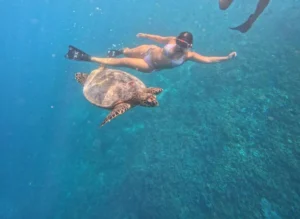 Snorkeling with a sea turtle in Gili Trawangan's clear blue waters