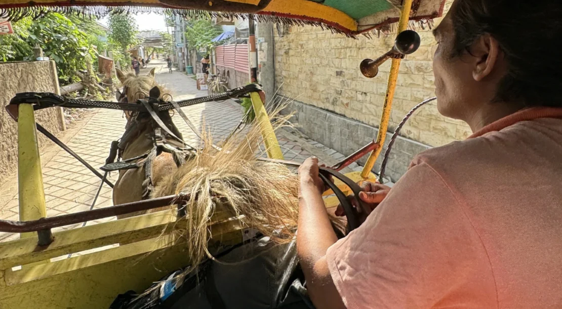 Cidomo (horse cart) Passenger point of view inside a Cidomo horse cart riding down a street in Gili Trawangan