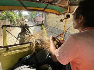 Passenger point of view inside a Cidomo horse cart riding down a street in Gili Trawangan